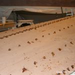 Refit einer Boesch 590 St. Tropez in der Werfthalle der Bootswerft Baumgart in Dortmund