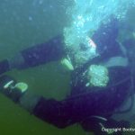 Taucher beim Tauchgang zur Riva Super Aquarama. Bergung organisiert und durchgeführt mit Unterstützung professioneller Taucher durch die Bootswerft Baumgart