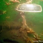 Rückspiegel beim Tauchgang zur Riva Super Aquarama. Organisiert und durchgeführt mit Unterstützung professioneller Taucher durch die Bootswerft Baumgart