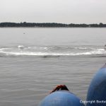 Wasseroberfläche über dem Bergungsort der Riva Super Aquarama bei der Bergung durch die Bootswerft Baumgart